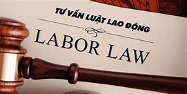 Nguồn Của Pháp Luật Lao Động Bao Gồm